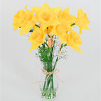 Small Arrangement (2026)